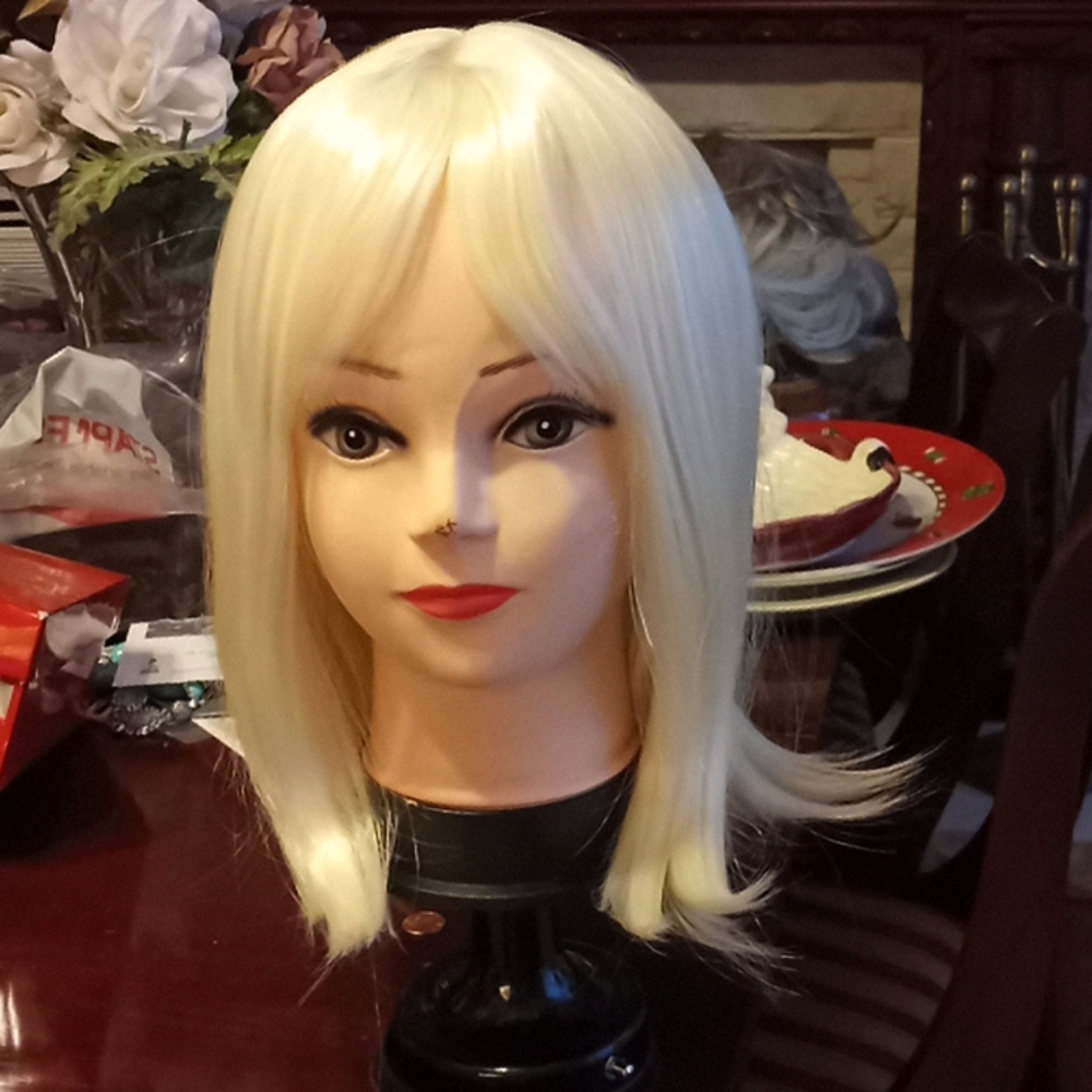 A Paula Young long expensive wig